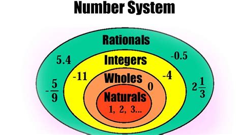 The Number System .